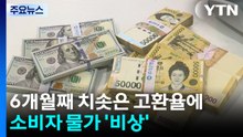 6개월째 치솟은 고환율에...소비자 물가 '비상' / YTN