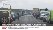 Colère des agriculteurs: les taxis rejoignent le mouvement