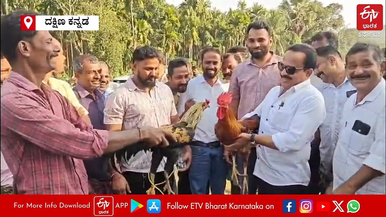ಕೋಳಿ ಅಂಕಕ್ಕೆ ಪ್ರೇರಣೆ ನೀಡಿದ ಆರೋಪ: ಪುತ್ತೂರು ಕಾಂಗ್ರೆಸ್ ಶಾಸಕ ಅಶೋಕ್ ರೈ ಸೇರಿ 16 ಮಂದಿ ವಿರುದ್ಧ ಪ್ರಕರಣ