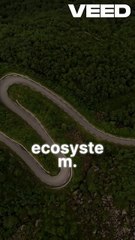 The car isn’t safer abroad — the roads are. Predictability reduces risk more than horsepower or airbags. 🌍