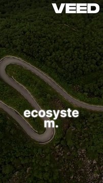 The car isn’t safer abroad — the roads are. Predictability reduces risk more than horsepower or airbags. 🌍
