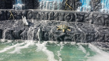 जेल में बंदियों ने यूट्यूब देखकर बना ली पेवर ब्लॉक बनाने वाली मशीन