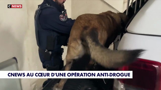 CNEWS au coeur d'une opération anti-drogue