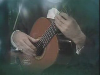 Richard Clayderman & Nicolas De Angelis(2)-Diva