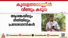 പത്തനംതിട്ട കുമ്പളത്താമണ്ണിൽ വീണ്ടും കടുവ ഇറങ്ങി; ആടിനെ പിടികൂടി