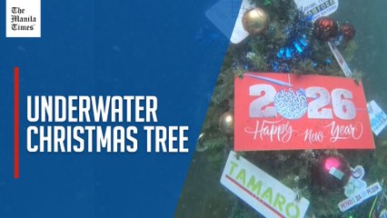 Scuba divers deck the depths with underwater Christmas tree