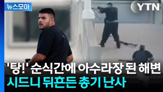 [뉴스모아] ‘탕!' 순식간에 아수라장 된 해변... 세계적 관광지 뒤흔든 총기 난사 / YTN