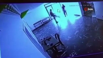 Kediye atılan tekme kameralara yansıdı