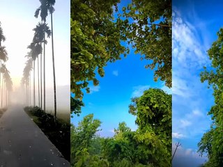 Amazing nature views l beautiful nature videos
