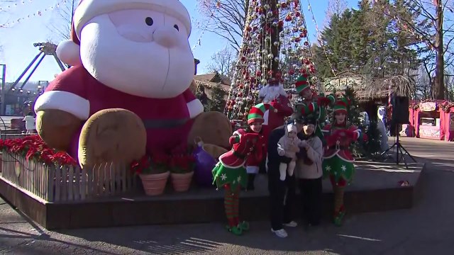 도심 곳곳 트리 장식...설렘 가득 '연말 분위기' / YTN