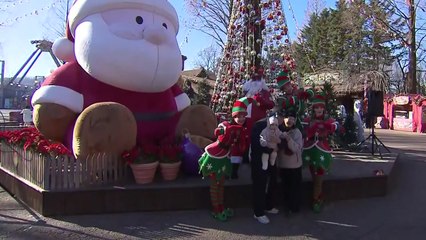 도심 곳곳 트리 장식...설렘 가득 '연말 분위기' / YTN