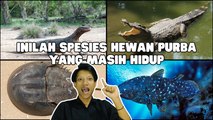 Empat Spesies Hewan Purba Masih Bertahan Hidup Hingga Saat Ini-Serius Ini Hewan?