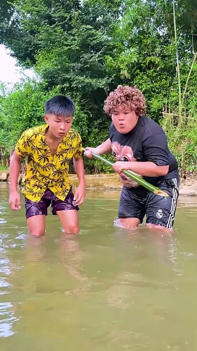 Funny videos