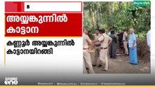 കണ്ണൂർ അയ്യങ്കുന്നിൽ ജനവാസ മേഖലയിൽ കാട്ടാനയിറങ്ങി
