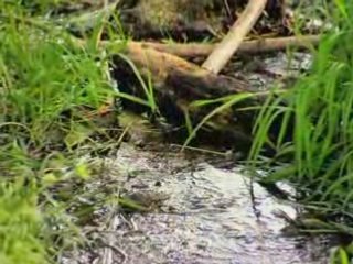 Un dimanche après-midi