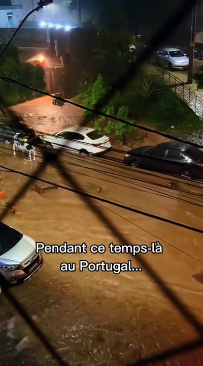 🐄🇵🇹 Pendant ce temps au Portugal, les vaches font du surf .. On adore les animaux portugais !#voyage #humour #portugal