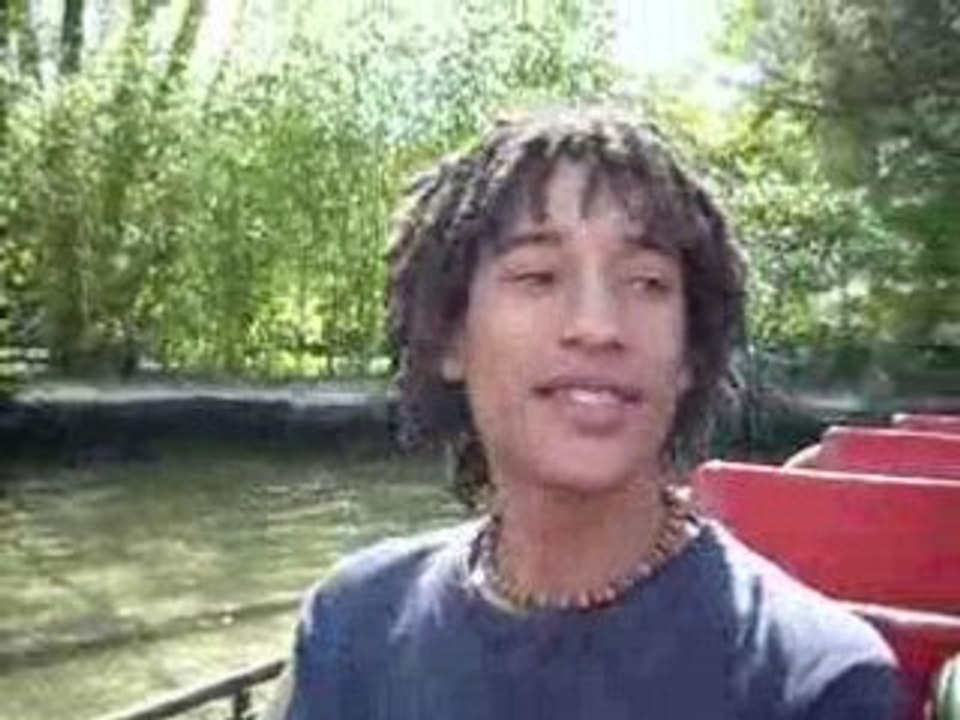 Journée au parc asterix