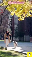 Her Career Was His by Day—Her Body After Hours【Starlit Hearts】#flickreels