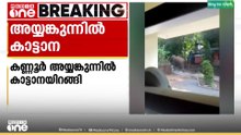 കണ്ണൂർ അയ്യങ്കുന്നിൽ ജനവാസ മേഖലയിൽ കാട്ടാനയിറങ്ങി; പ്രദേശത്ത് ജാഗ്രതാ നിർദേശം