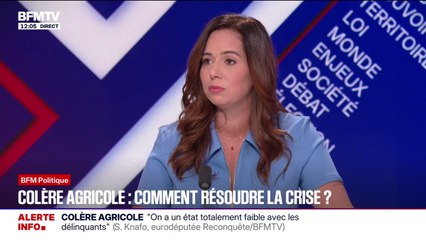 Pour Sarah Knafo, eurodéputé "Reconquête", le Mercosur "est une trahison" envers les agriculteurs