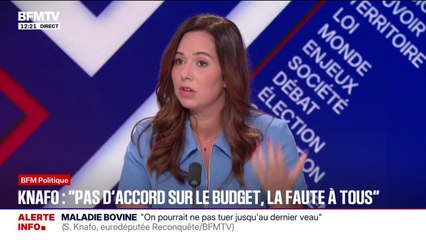 Absence d'accord sur le budget: la faute à "tous, au RN, à LFI, de toute la classe politique", déplore Sarah Knafo