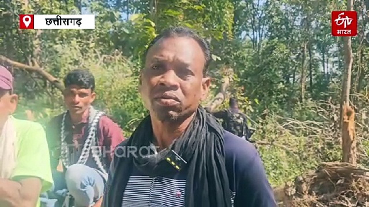 बीजापुर में वन विभाग पर मनमाने तरीके से पेड़ कटाई का कांग्रेस ने लगाया आरोप, लोगों ने की डीएफओ को हटाने की मांग