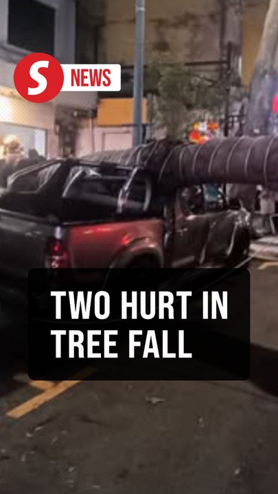 Two injured after tree falls on vehicles in Penang