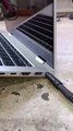 hp elitebook x360 830 g6 charging light blinking orange and white but laptop not turning on #issue