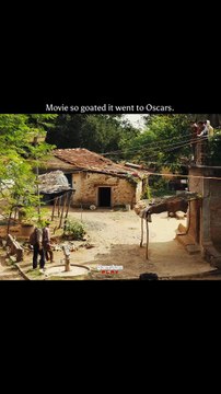 So powerful and rooted that its journey didn’t stop at home, it reached the Oscars.🏆 #glamsham #homebound #oscarjourney #indiancinema #criticallyacclaimed {glamsham, homebound, oscar journey, indian cinema, critically acclaimed}