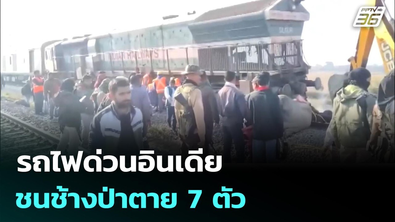 รถไฟด่วนอินเดียชนช้างป่าตาย 7 ตัว | เข้มข่าวค่ำ...