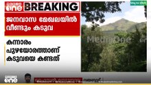 വയനാട് ദേവർഗദ്ധയിൽ കടുവ വീണ്ടും ജനവാസ മേഖലയിൽ എത്തി