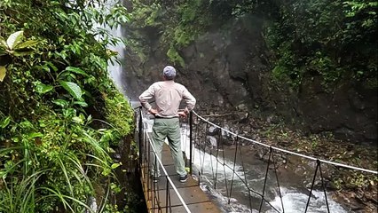 Costa Rica : la jungle