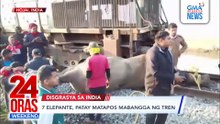 7 elepante, patay matapos mabangga ng tren | 24 Oras Weekend