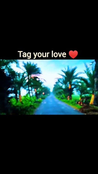 Tag.....