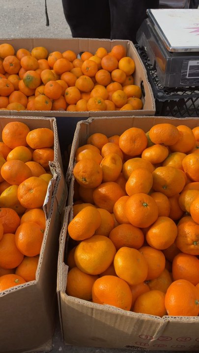 Mandarin