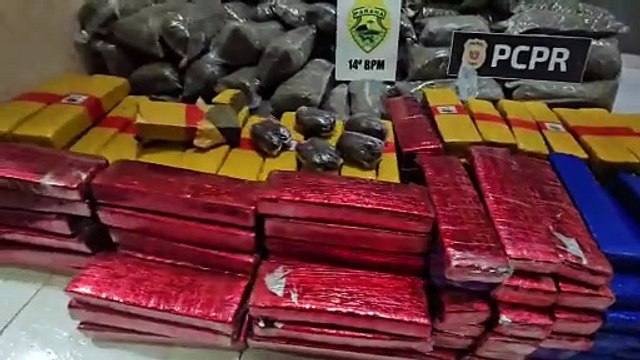 Operação conjunta da Polícia Civil e da Polícia Militar apreende quase 300 quilos de drogas na região de Céu Azul