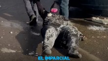 EE.UU. utiliza cazarrecompensas para arrestar a inmigrantes
