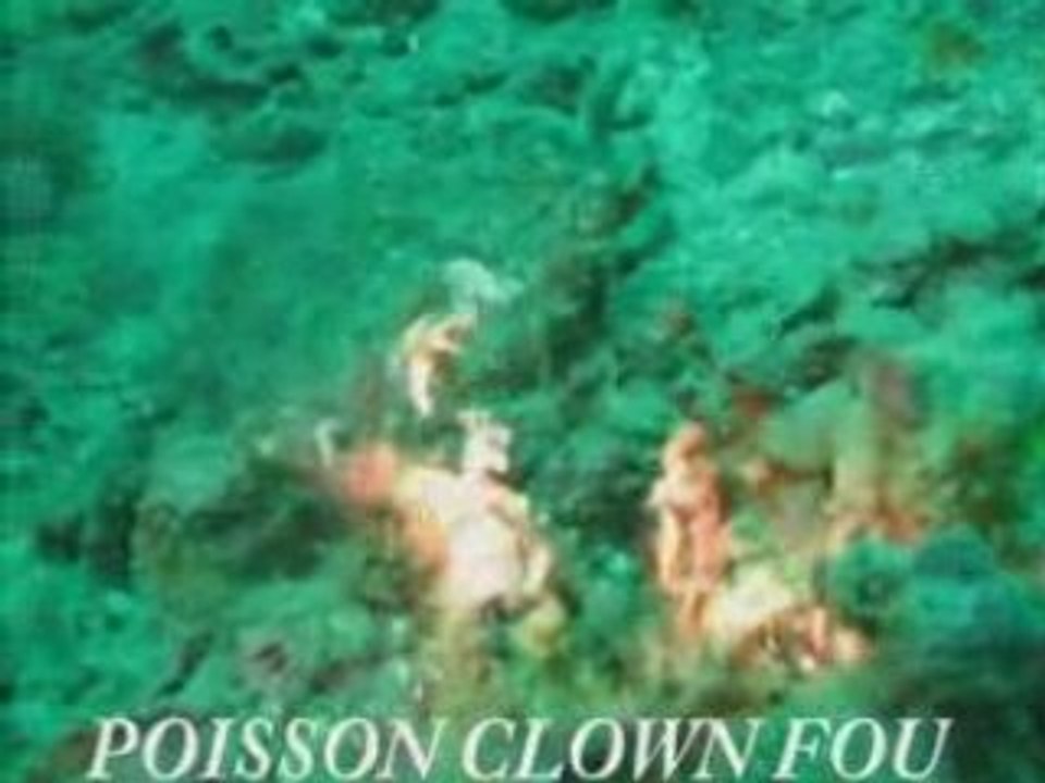 MES PLONGEES 01 THAILANDE 2008