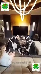 Contract Husband He Is Already Yours | Full Movie HD - Best Drama ShortFilms Hot Romance Love Heiress/Socialite