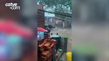 Chuva causa transtornos em Foz do Iguaçu