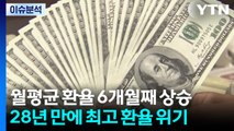 [스타트 경제] 고환율에 물가 비상...5년 동안 커피 280%·소고기 60%↑ / YTN