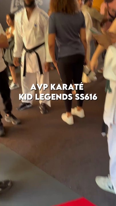 Avp karaté kid légends