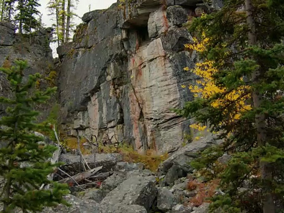 A Fools Paradise | movie | 2025 | Official Teaser