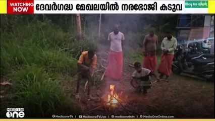 'വയനാട് പുൽപ്പള്ളി ദേവർഗദ്ധ മേഖലയിൽ ഇറങ്ങിയ നരഭോജി കടുവയെ മഴക്കുവെടിവെച്ച് പിടികൂടും'