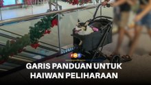Sedia garis panduan bawa haiwan peliharaan ke pusat beli-belah, kata aktivis