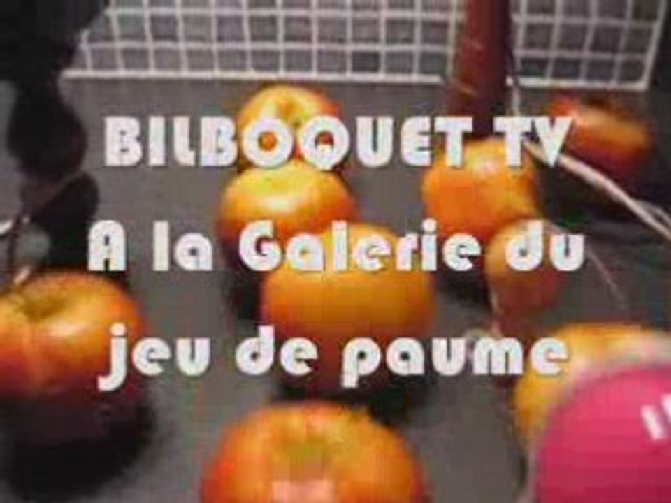 Bilboquet Tv à  la Galerie du Jeu de Paume