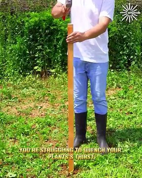 A Simple Solution to Effortless Plant Hydration!🌿