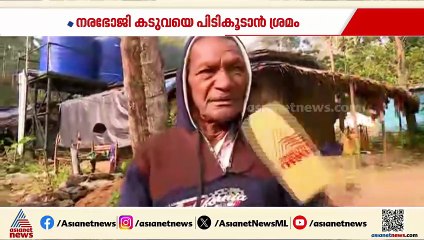 പുൽപ്പള്ളി ദേവർഗദ്ധയിലെ കടുവ എവിടെ? ജനങ്ങൾ ഭീതിയിൽ