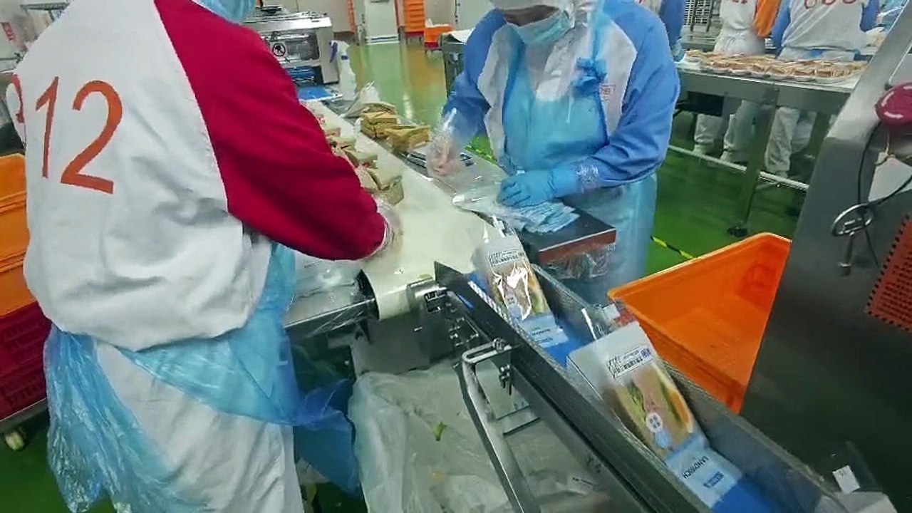 Triangle sandwich packaging machine.