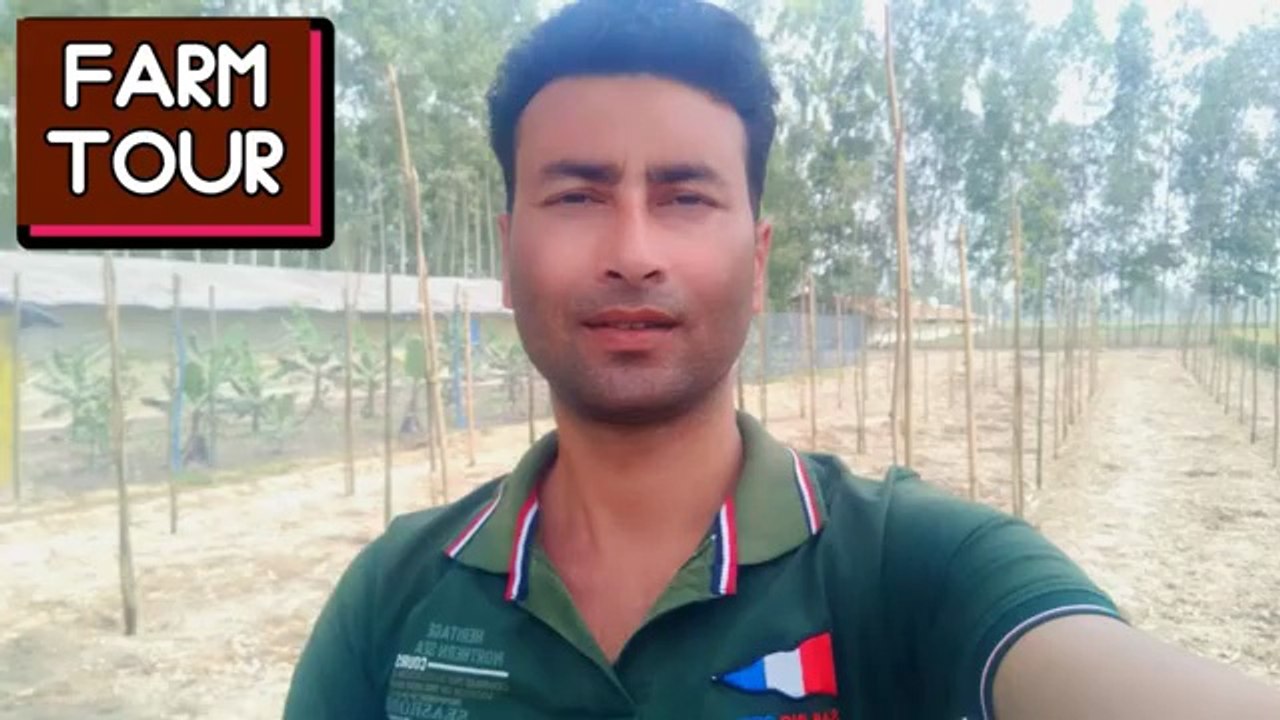 Poultry Farm Tour | poultry farm business plan | layer poultry farm